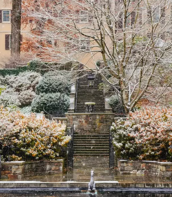Winterthur Museum Gardens in Winter