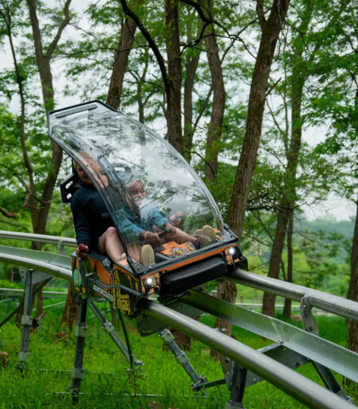 Wisconsin Dells Scenic Skycoaster