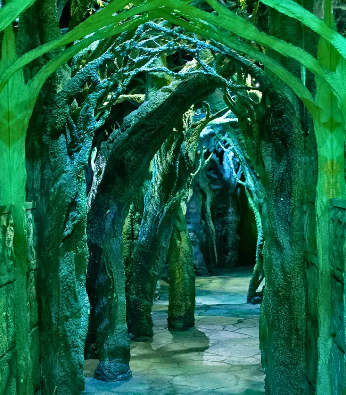 Wizard Quest