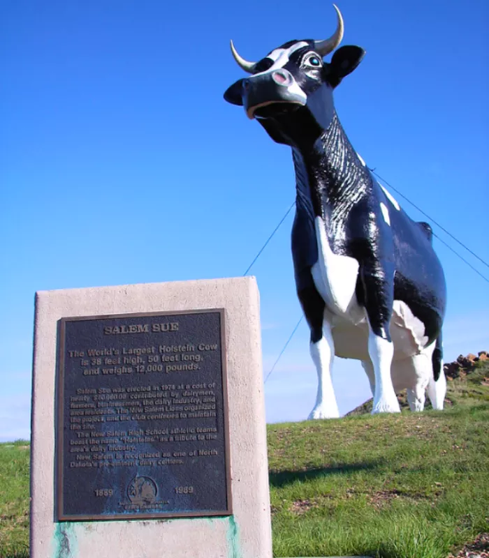 Worlds Largest Holstein Cow New Salem
