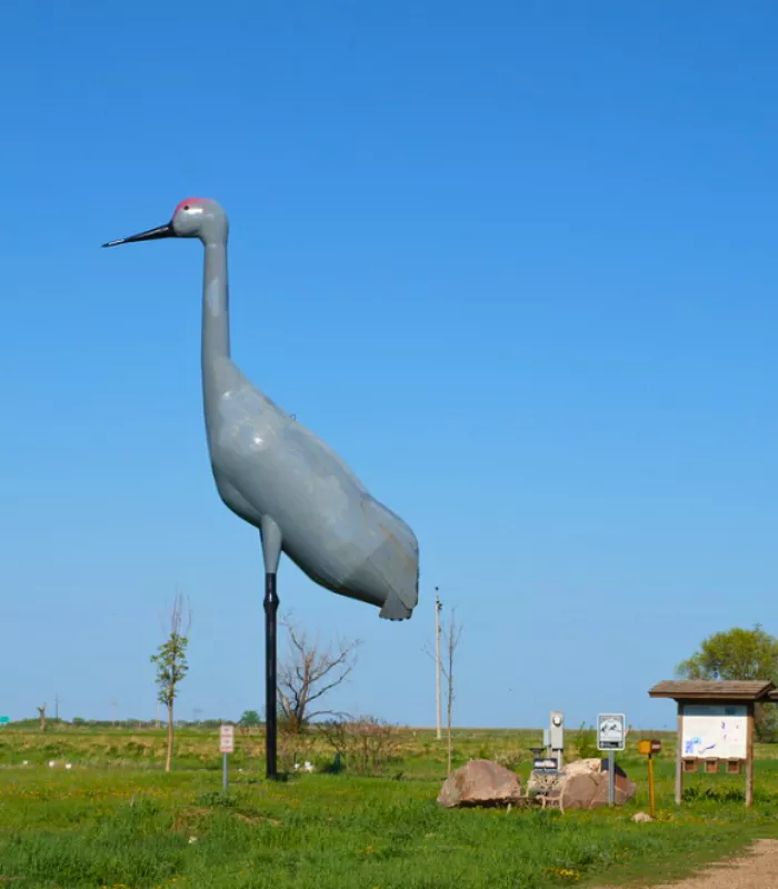 Worlds Largest Sandhill Crane Steele