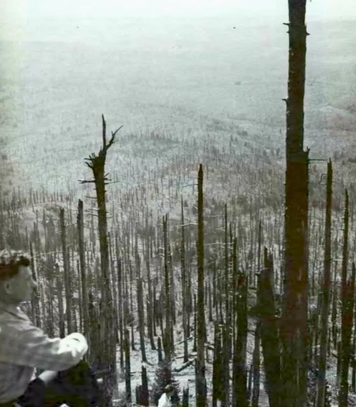 Yacolt Burn Washington and Oregon