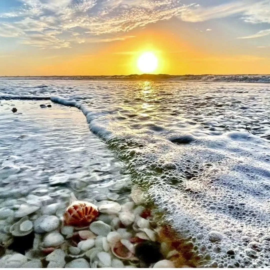 sanibel2